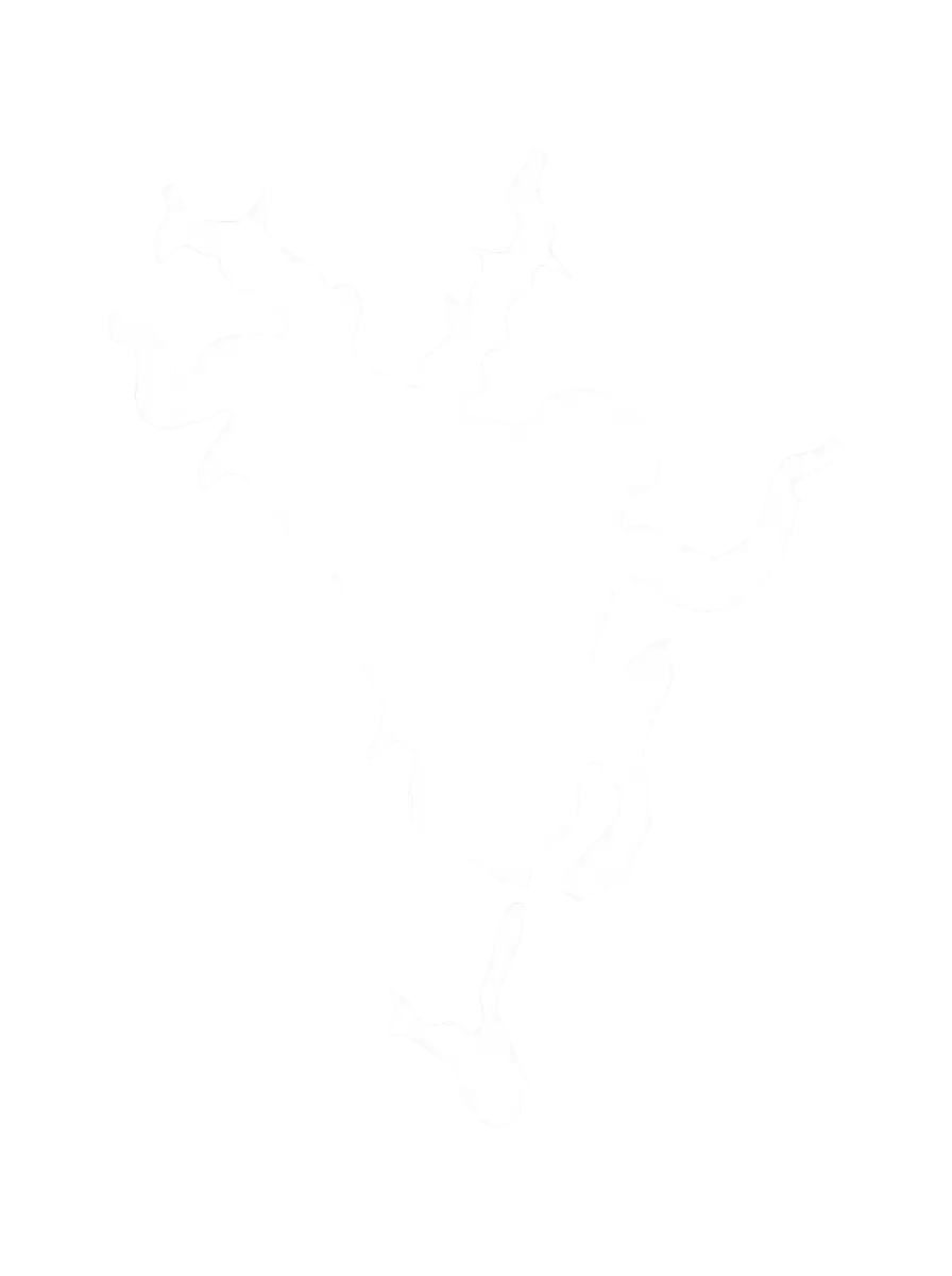 Lake Mission Viejo vector