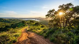 The Best Parks and Hiking Trails in Mission Viejo for Every Skill Level