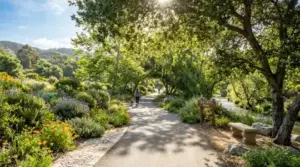 Oso Creek Trail walking path